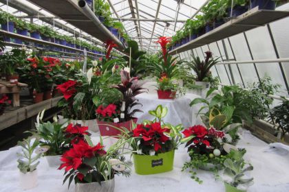 Jardin Malin Montlouisnull