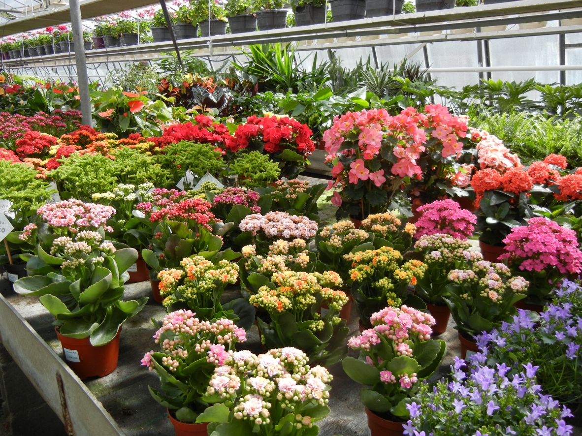 Jardin Malin Montlouis