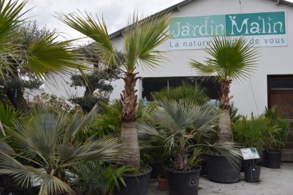 Sitemapcdatahttpsshopinf Inetcomjardin Malin Montlouis
